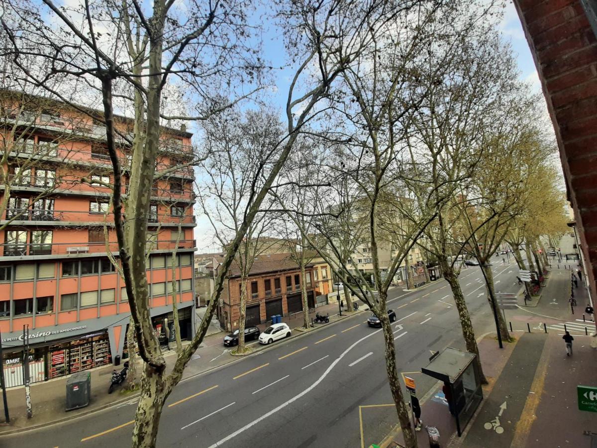 Appartement Pont Des Catalans Τουλούζη Εξωτερικό φωτογραφία